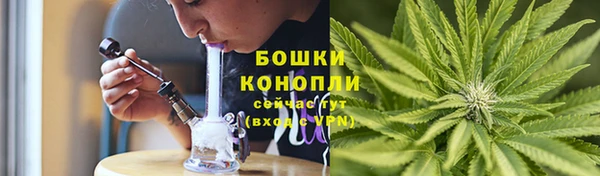 трава Медвежьегорск