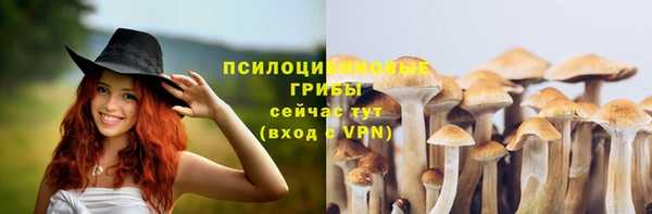 кристаллы Осинники