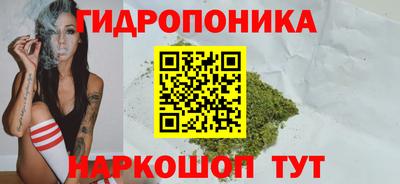 гидра Берёзовский
