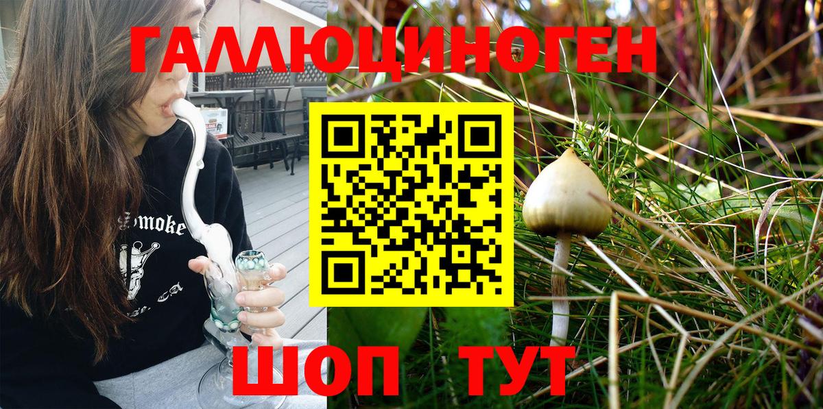 Галлюциногенные грибы Psilocybe  Вход с VPN  Псилоцибиновые грибы мухоморы  Курганинск 